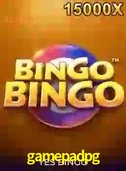 bingobingo